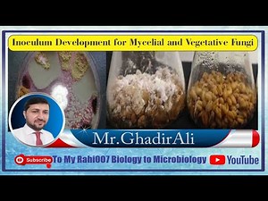 Inoculum Development for Mycelial and Vegetative Fungi