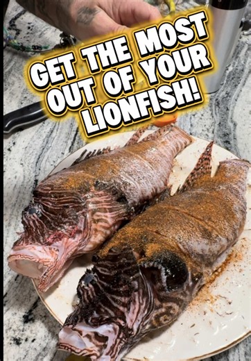 Catch clean and cook! Let’s go! #Lionfish #boom # invasivespecies@Alex Borsutzky