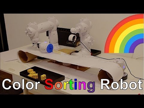 Color Sorting Robot🌈🌈❤️💛
