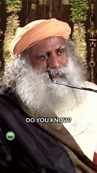 Optimize Your Nutrition: Starting Your Meal with Fruit