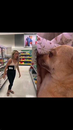 #duet with @colie.1 #BackToSchool