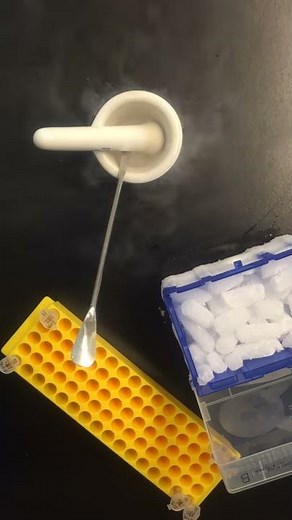 Tissue Homogenization on Liquid Nitrogen