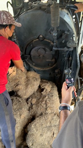 🚂 Did you know? The steam locomotive train here in Negros is powered by bagasse — a by-product of sugarcane after juice extraction! 💨🔥This eco-friendly fuel keeps the heritage train running, giving you a nostalgic ride through our rich sugar history. 🍂🇵🇭#BacolodTourGuide #SteamTrain #NegrosHeritage #BagassePowered #Sugarlandia #EcoTourism #HistoryOnTracks #TravelNegros #PhilippineHistory | Bacolod Tour Guide