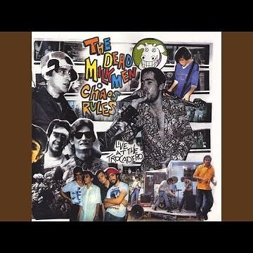 Punk Rock Girl (Live)