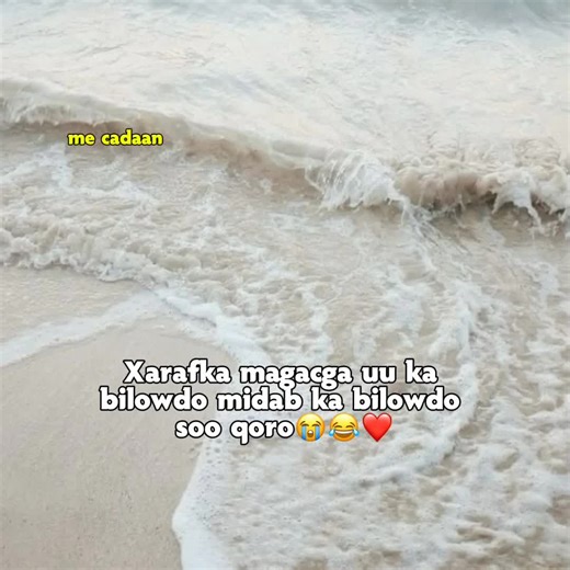 Ivoory Color: A Timeless Elegance