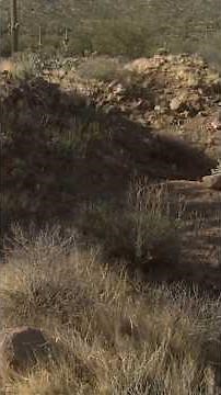 Lost Mission in the Superstitions #jacksanfelice