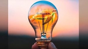 Make a visually stunning light bulb image with blending mode