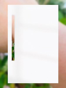 💗 FERTILITY & LOVE CHARM BRACELET 💗 The combination of Rose Quartz and Jade crystals are intended to enhance fertility, promote love and relationships and attract good fortune and prosperity 🔔Our Feng Shui items are not intended to impose or encourage any specific belief or practice. We encourage everyone to use them as they see fit and with an open heart #InfiniteFengShuiPH #SpiritOracleMagic #InfiniteMagick #emgonzales #masterritualist #fengshuiconsultant #intuitivereader #lifecoach #spirit