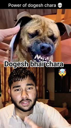 one call system heng 🤯😂 #onlyreaction #reaction #dogeshbhai#funny#shorts ‪@zafar_ali_reaction_25‬