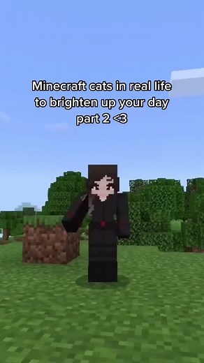 This is way too cute ☺️ @realminecraft_ #minecraft #gaming #foryou