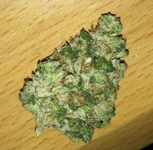 Pine OG | Marijuana Strain Reviews