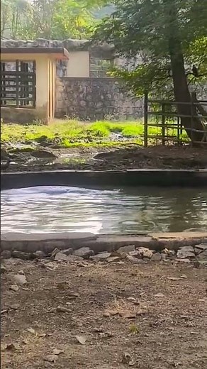 #zoo #vlog #animals 🦛😭🥹🥲