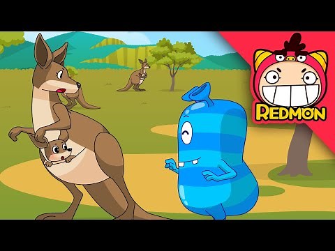 Protect Ttuba kingdom (Help kangaroo and skunk) | Animal rescue corps #09 | REDMON