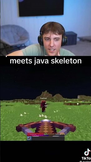 pov: java skeletons..
