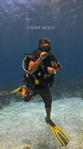 Watch Eddie, one of our instructors, master the five-point ascent! Signal, Time, Elevate, Look, Ascend guides a safe, controlled rise 🤿. Join us for hands-on training on Roatan's reefs and master the five-point ascent with Eddie this season 🐠. #DivingRoatan #RoatanDiveShop #NativeSons #FivePointAscent #ScubaDiving #DiveEducation #BuoyancyControl #RoatanReefs #DiveHappiness | Native Sons Dive Shop