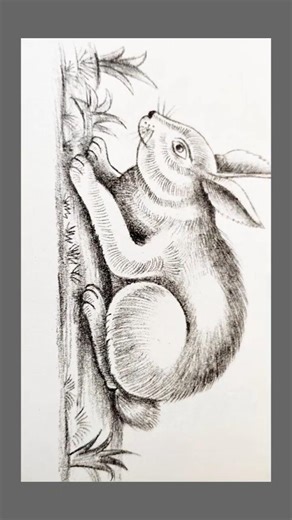 rabbit sketch🐰🩵🐇#sketchingideas #shortvideo