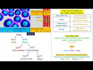 Intracellular fluid , Extra cellular fluid. Chapter 25 part 1. Guyton and Hall Physiology.
