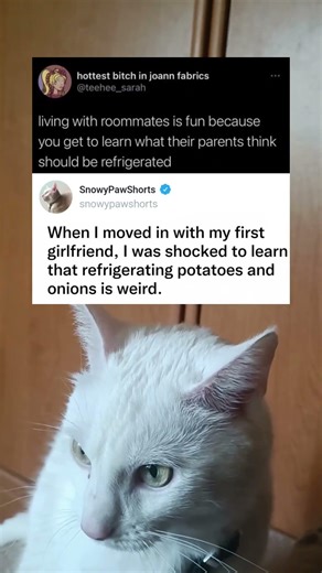 Living with roommates reveals weird family food habits