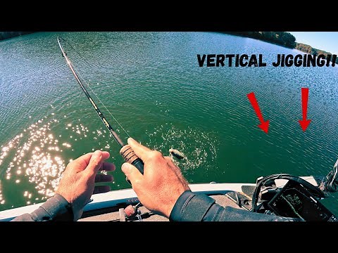 Vertical JIGGING For FALL Crappie!