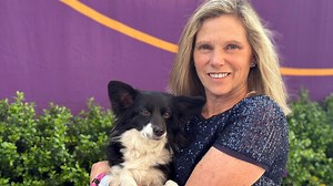 Westminster dog show has first mixed-breed agility winner, Nimble, who's trained in Md.