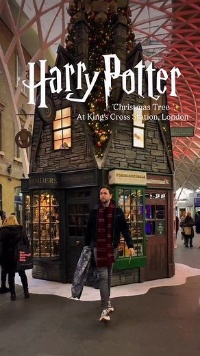 4.7K views · 2.2K reactions | Harry Potter Christmas Magic ✨ At...