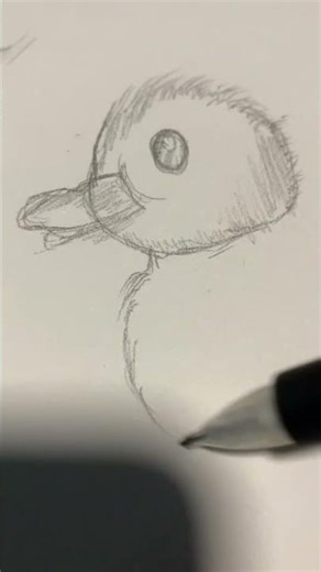 Aesthetic duck #cute