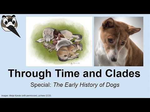 The Early History of Dogs - Special Episode