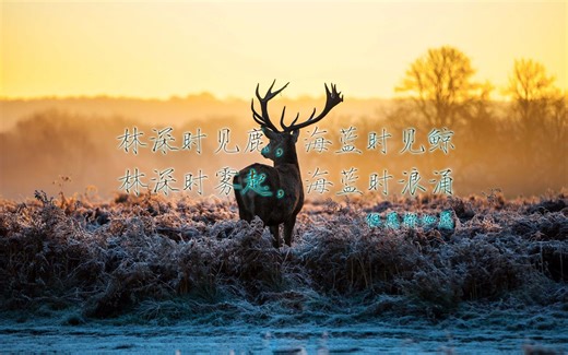 Adobe Acrobat 9 Pro批量PDF转换JPG