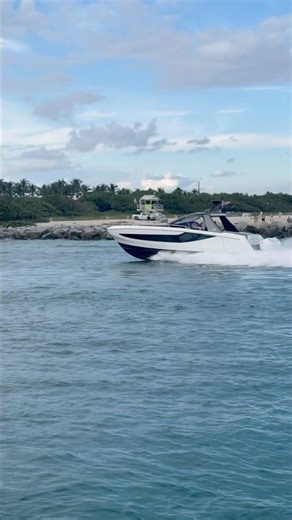 Trump campaign manager just came back. #trump