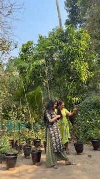 ഇത് വിട്ടൊരു കളി അമ്മക്കില്ല 😎സീതയുടെ ജീവനും ജീവിതവും 😎😎