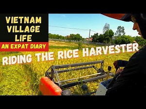 Rice Harvester Ride-along in Vietnam | Vietnam Village Life