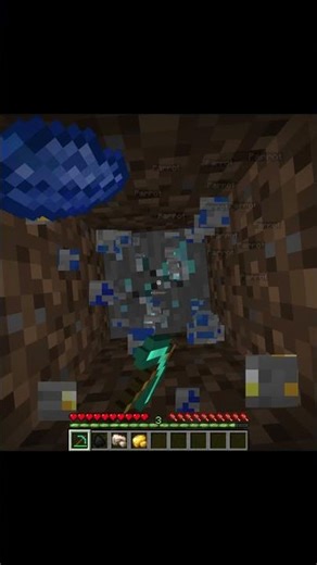 Minecraft Dancing Parrots 🦜