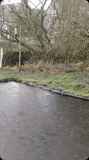 Kate Jackson on Instagram: "The weather is very strange just now, sunshine one minute, rain the next! I just made it down to the cabin before the heavens opened for a little bit of crochet at the end of my work day. I posted the chat I recorded over on my Patreon channel for my Friday One More, a regular feature where I post more everyday stuff. The ducks like the rain a lot more than I do!!! #thelasthomelyhouse #katescabin #patreonatthelasthomelyhouse #crochet"