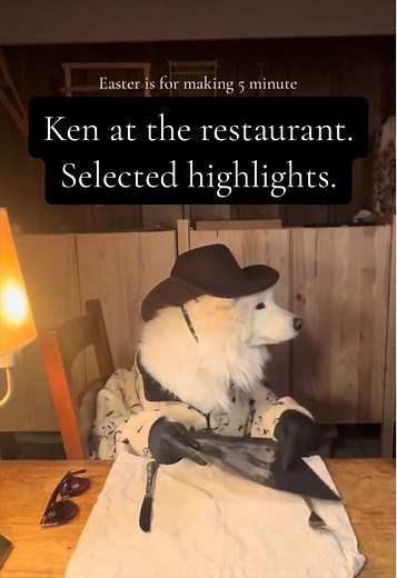 Happy Easter! 5-Minute Dog Film Highlights
