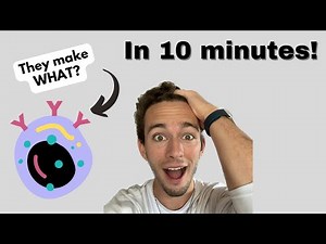 MHC class 2 Antigen Processing Pathway - Simplified!