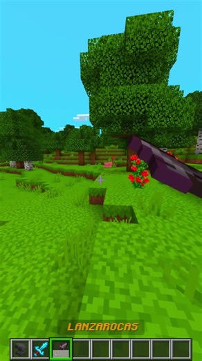 Minecraft JAVA VS BEDROCK Differences #6