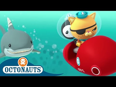 Octonauts - Being Chased by a Shark | Cartoons for Kids | Underwater Sea Education