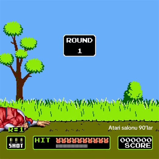 Nostalgic Duck Hunt & Street Fighter Arcade Experience