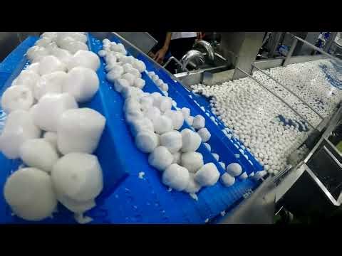 Fish Ball Production Line