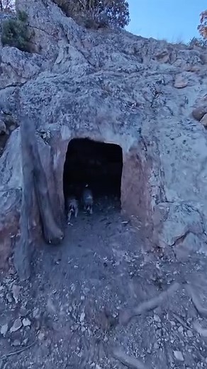 Exotic underground house camping with my dog - Primitive offgrid survival, nature sounds asmr #camping #dog #nature #wildlife #fblifestyle #adventure #asmr #diy | Mr. Sulo