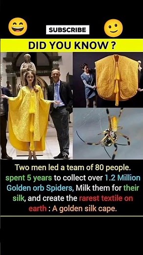 The Rarest Fabric Ever Made | Golden Spider Silk Cape 🕷✨