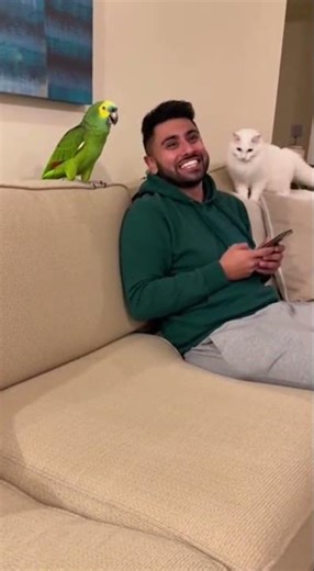 Parrot vs Cat Gone Wrong – Police Get Involved! 🚔🤣