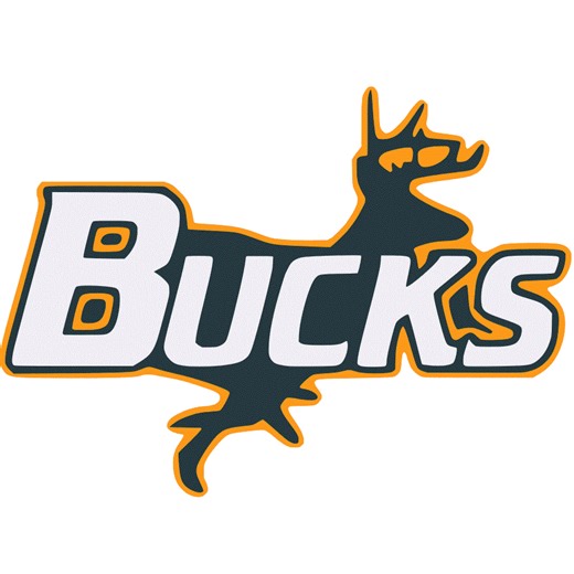 Volleyball Recap: Buckhorn's Winning Streak Snapped at Nine Games