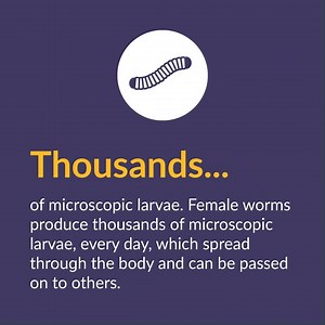 In sub-Saharan Africa, rivers can also be home to blackflies that carry a parasitic worm. These flies can spread a blinding disease with one bite. Find out more about River Blindness below. Video transcript availible [https://youtu.be/eTjOleCZIxc]. https://www.sightsavers.org/appeals/2019/06/summer-hp/?utm_source=facebook&utm_medium=social&utm_content=summercashappeal19fb&utm_campaign=fundraising | Sightsavers