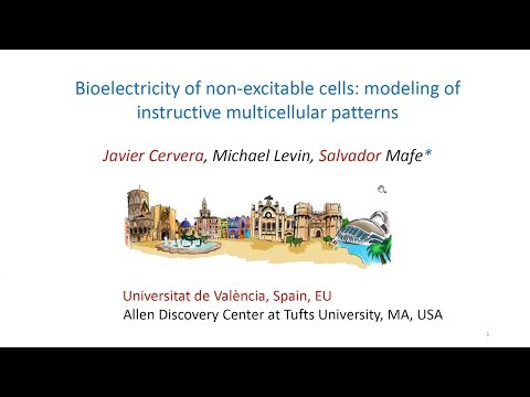 "Bioelectricity of Non-Excitable Cells" by Javier Cervera, Michael Levin, and Salvador Mafe