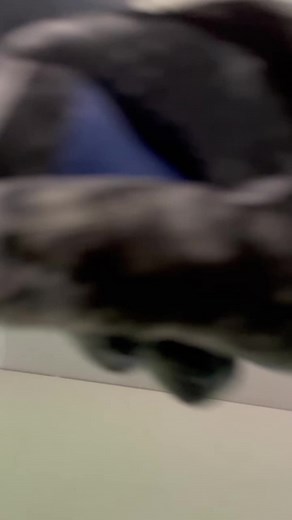 Stylish Tiled Splashback Design Ideas for Your Kitchen