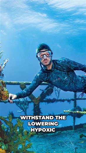 Did you know that most freediving fatalities caused by hypoxic episodes happen within 10 seconds of surfacing? DAN's podcast welcomed Kirk Krack, human performance diver lead at DEEP, founder of Performance Freediving International (PFI), and the 2016 DAN/Rolex Diver of the Year, to discuss how he has pioneered freediving safety through his advocacy of proper training and life-saving protocols. The episode delves into Kirk’s "technical freediving" approach, which he successfully implemented whil