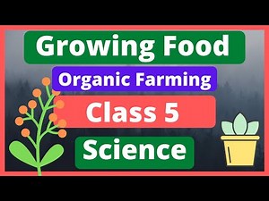 Growing Food Class 5 Science | Organic farming | Organic Gardening lesson for kids