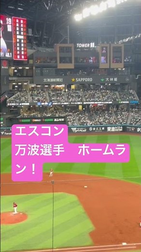 エスコンが凄すぎる！！#エスコンフィールド北海道 #エスコンフィールド #野球 #ファイターズ #日ハム #観光 #北海道