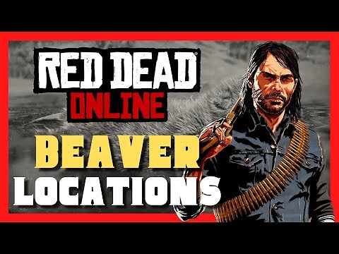 RDR2 Beaver Location - How to get a perfect Beaver pelt RDR2 and rdr2 online
